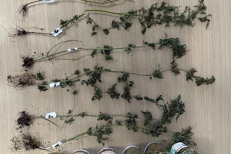 Policija u Kninu pronašla drogu, oružje i streljivo. Protiv dvojice (62 i 28) podnesene prijave