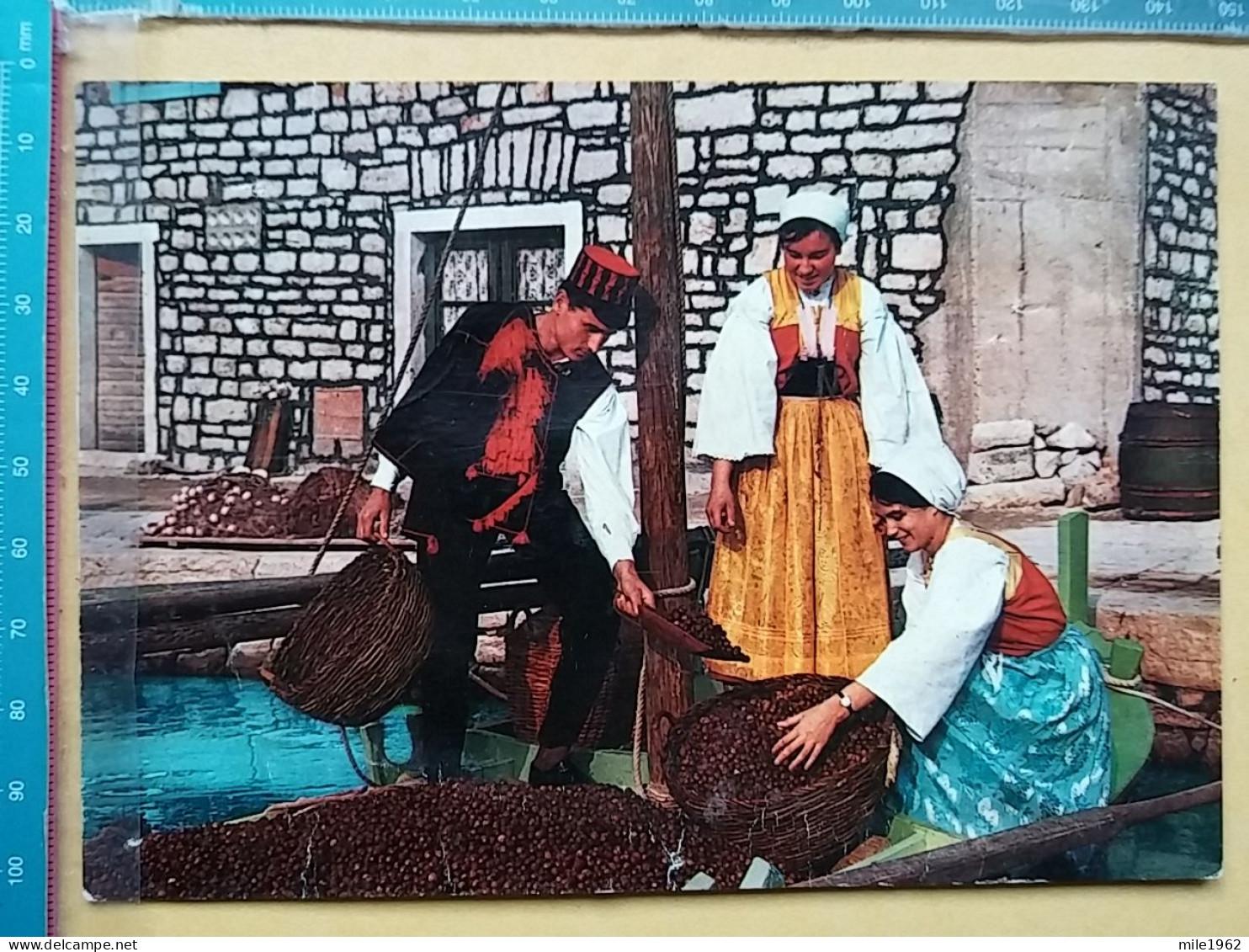 Prezimenske slike Vodica, Srime, Prvića i zaleđa: Od Cukrova i Ivasa do Roce i Šprljana