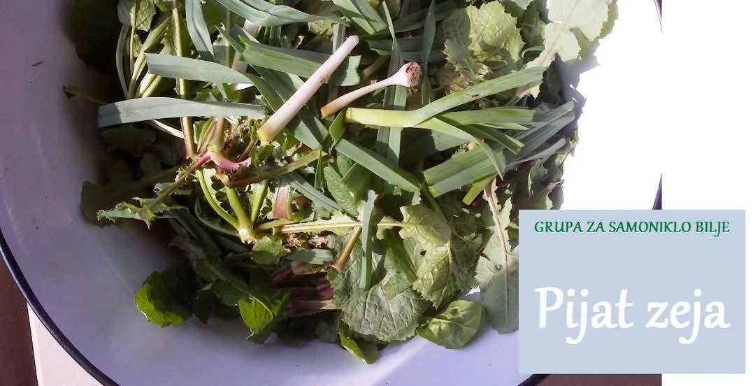 Prepoznavanje i branje 'dibjeg zeja'
