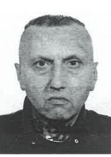 Elvis Radovčić