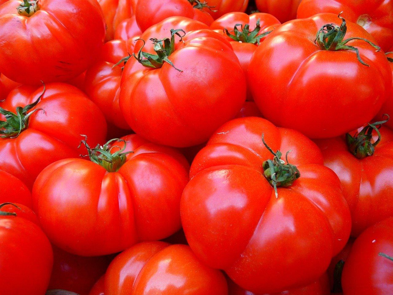 Vrijeme je za domaću šalšu: Jednostavan recept koji oduševljava