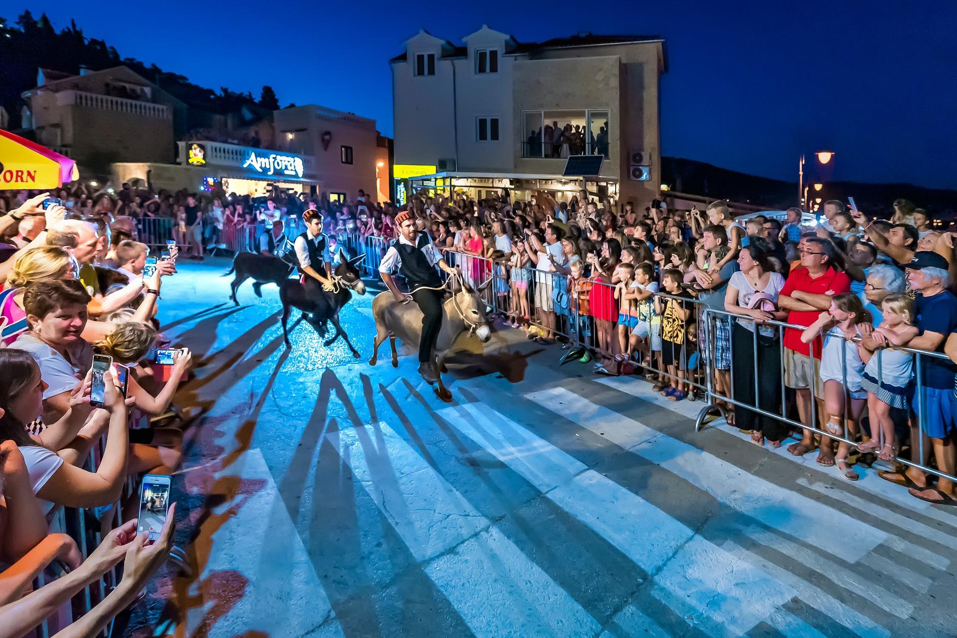 U Tribunju u četvrtak tradicionalna utrka magaraca