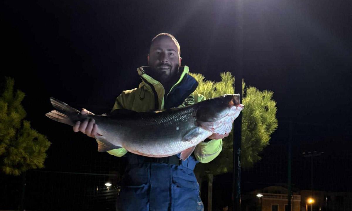 Rekordni ulov: Brancin od 8 kilograma ulovljen na sviću kod Srime