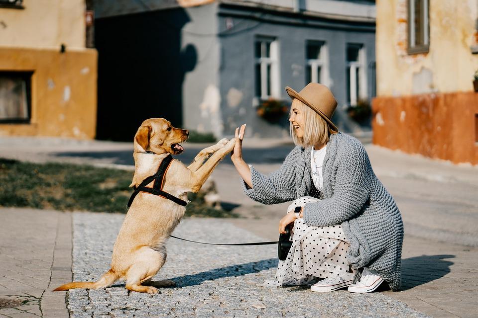 Ljudi rođeni u ova dva horoskopska znaka najveći su ljubitelji životinja