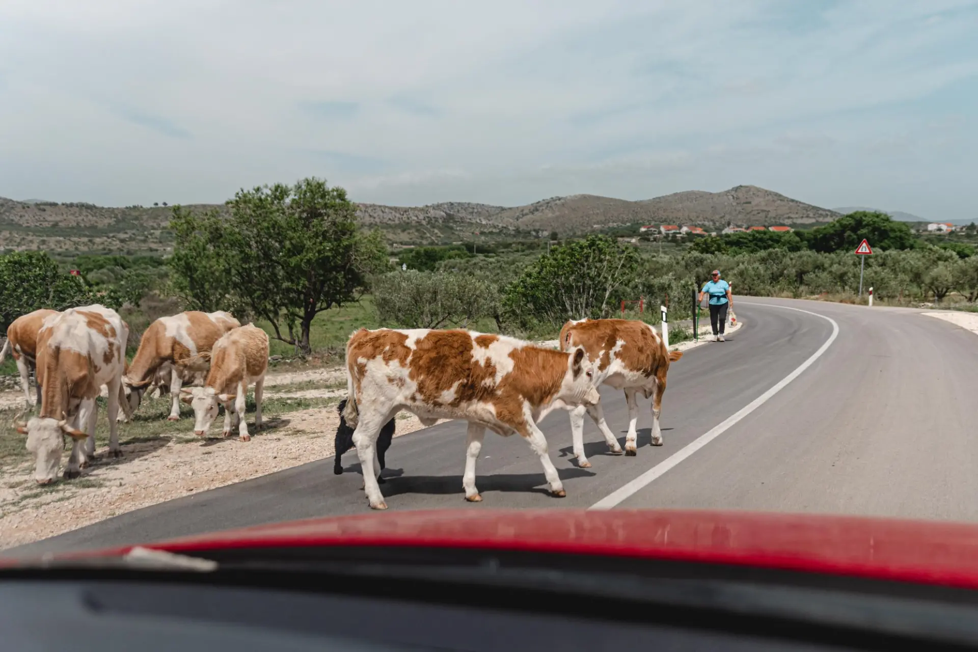 Bedrenica jučer potvrđena kod šest uzoraka. U županiji jedan novi slučaj
