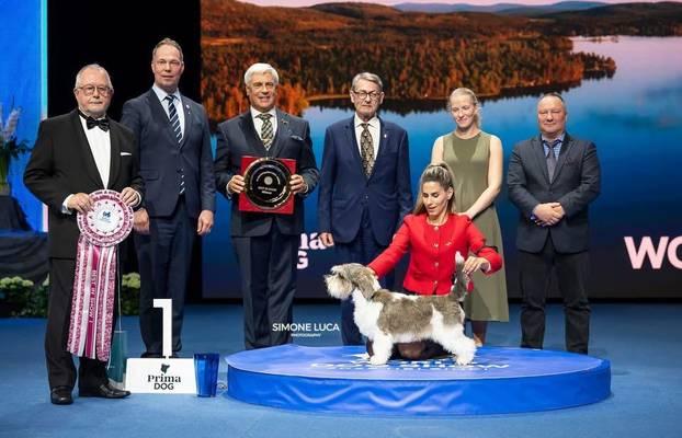 Drniška ljepotica Meghan osvojila titulu najljepšeg psa na svijetu