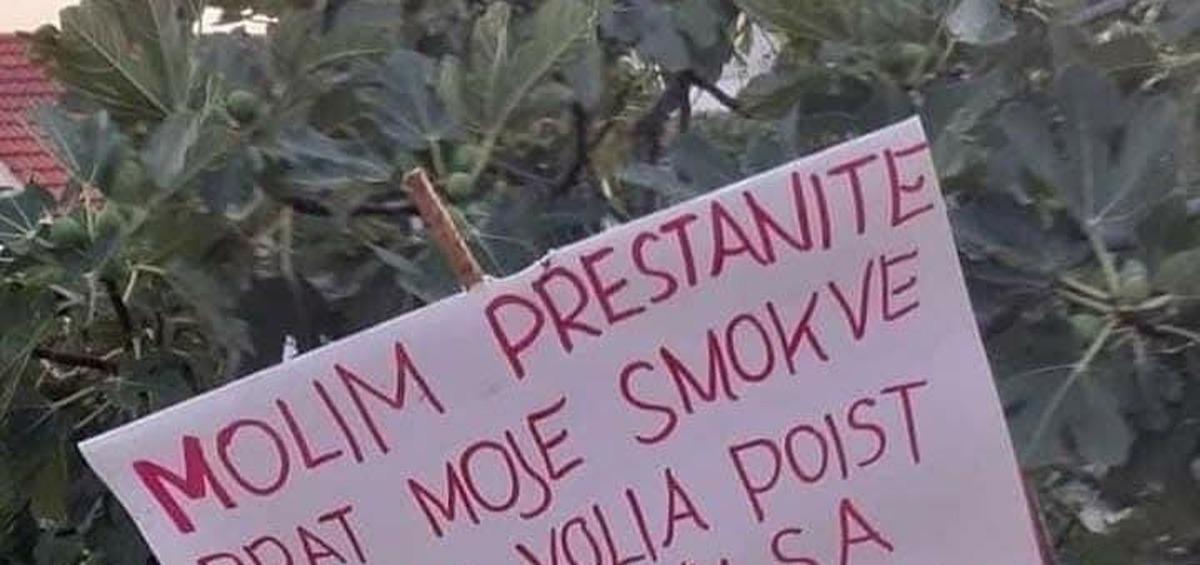 Parolom protiv taraša:  'I ja bi volia poist koju smokvu'
