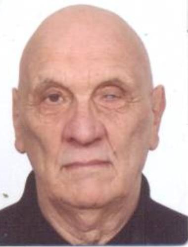 Branislav Iljadica