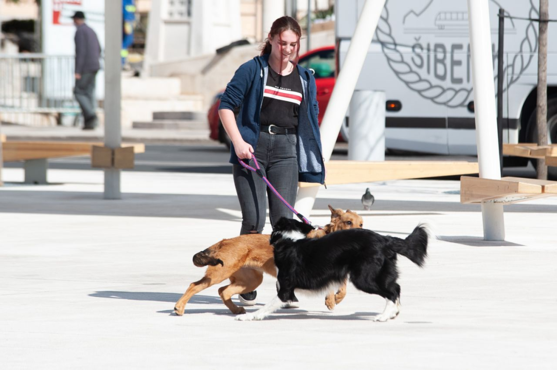 FOTO Đir po gradu, srijeda 17. ožujka