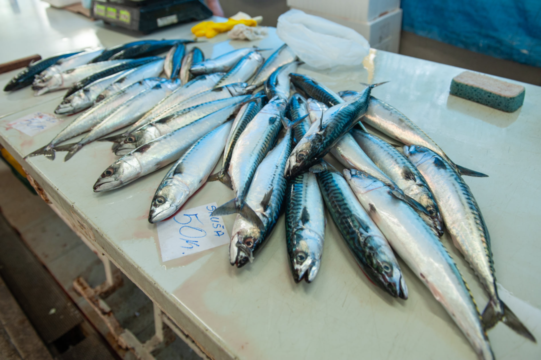 Đir po ribarnici na Veliki petak: 'Uvik je na današnji dan bila gužva, čekalo se u redu za uć po dobru ribu, a vidi sad, ništa'