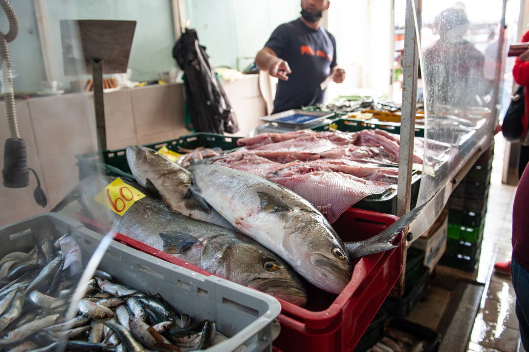 Đir po ribarnici na Veliki petak: 'Uvik je na današnji dan bila gužva, čekalo se u redu za uć po dobru ribu, a vidi sad, ništa'