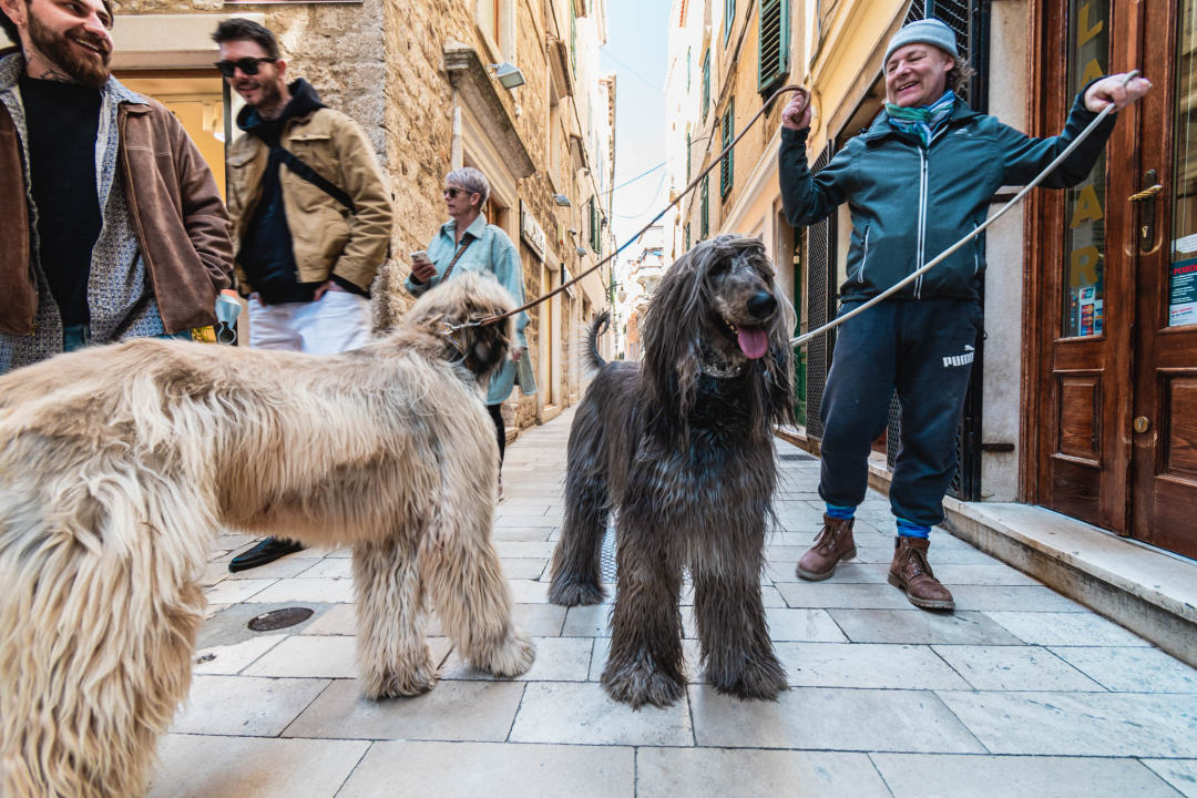 Kuni i Santos oličenje su elegancije i dramatičnosti, ali i jedna od najstarijih pasmina koja je lovila leoparde