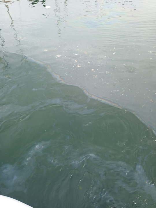 More u Mandalini i dalje prekriveno naftnom mrljom: 'Ovo je sramota za naš turizam'