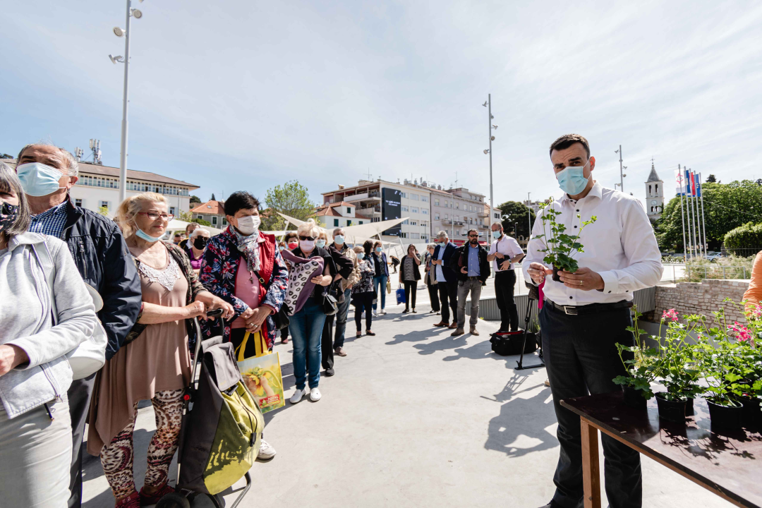Umirovljenički stampedo za sadnice đirana na Poljani: ‘Gužva je veća za cvijeće nego za cijepljenje’