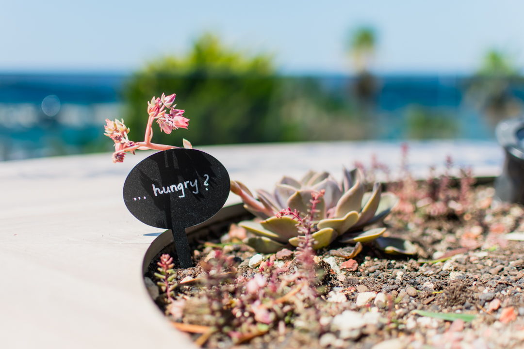 Priuštite si prekrasne trenutke na prozračnoj terasi Pomalo Bistro &amp; Bara u Žaboriću! 