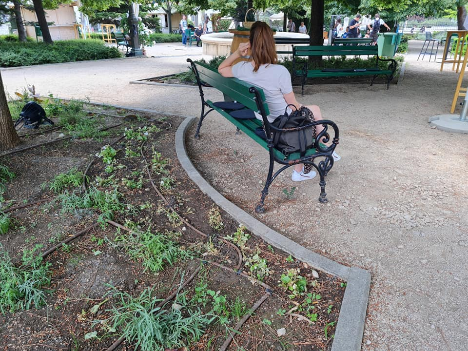 Pripazite na cvijeće: Nakon samo jedne večeri zabave u đardinu,  nedavno posađene biljke već su izgažene 