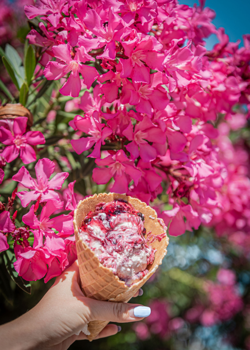 Isprobali smo najbolje sladolede u centru Šibenika! 
