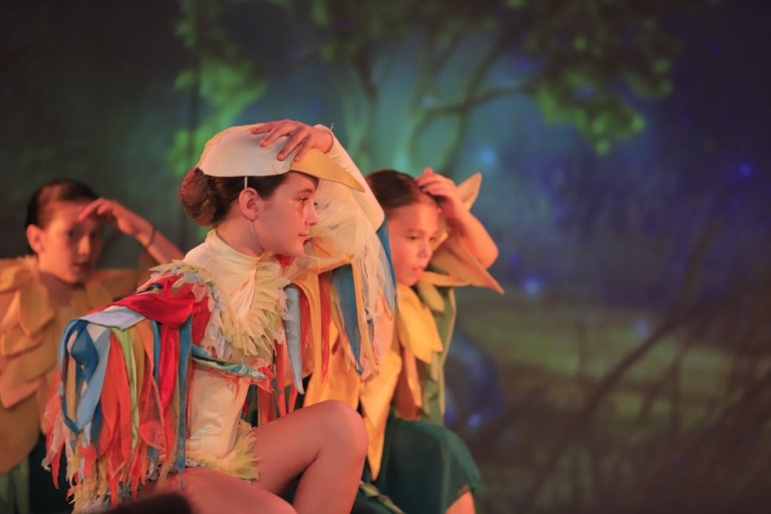 Balet na Ljetnoj: 'Smračilo mi se, ali na kraju je ispalo bolje nego išta'