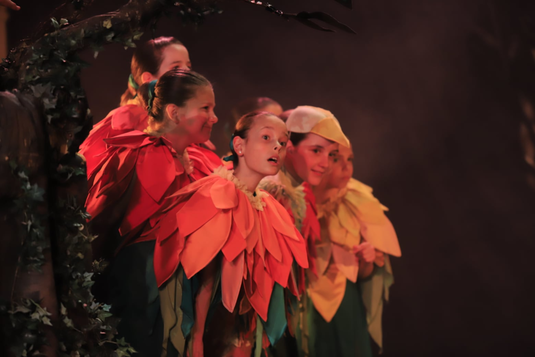 Balet na Ljetnoj: 'Smračilo mi se, ali na kraju je ispalo bolje nego išta'