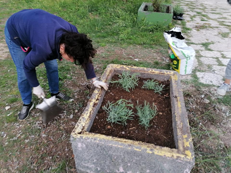 Pričali smo s curama i dečkima iz Šepurine: Od sadnje cvijeća do popravka balotane,  rade sto na sat i odlično ih ide
