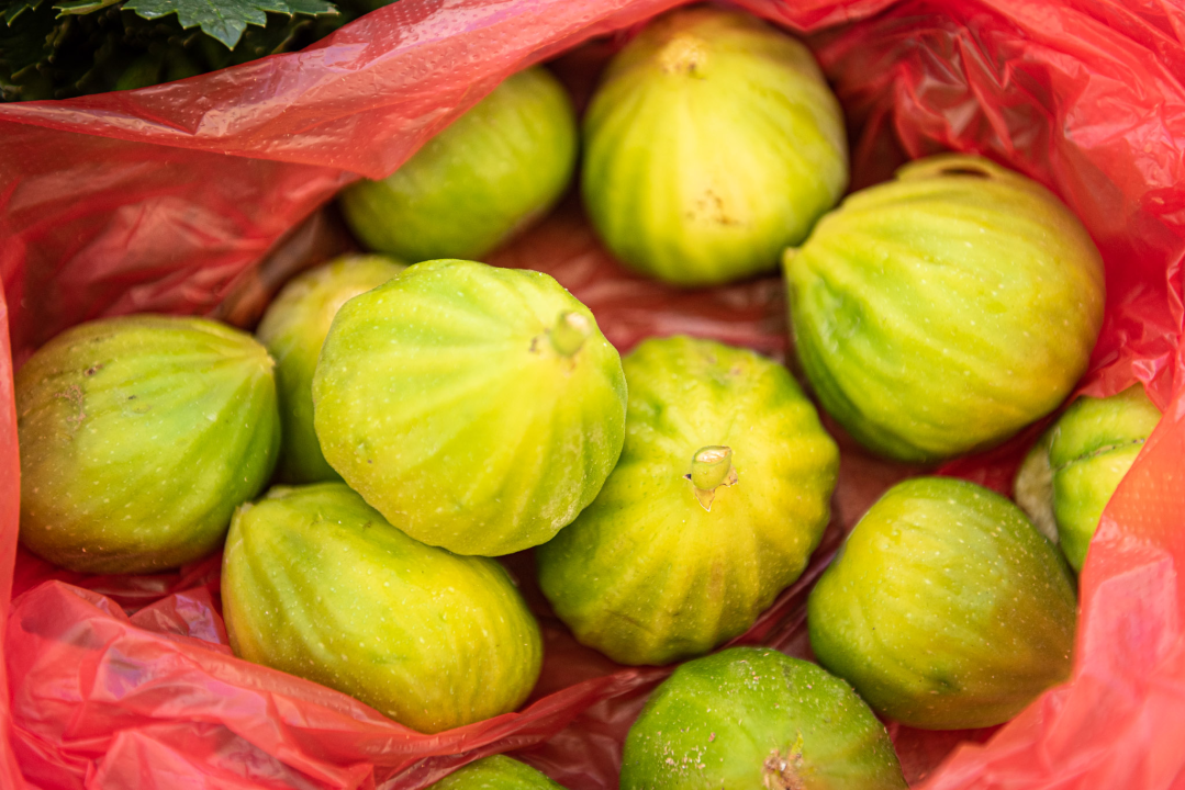 Mala loža u novom ruhu: Provjerite ponudu lokalnih OPG-ova na Zelenoj tržnici!