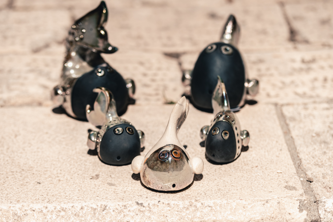 Ljeto u Galeriji Juraj Dalmatinac u znaku veselih riba, bezvremenskog nakita i poznatih umjetnika!