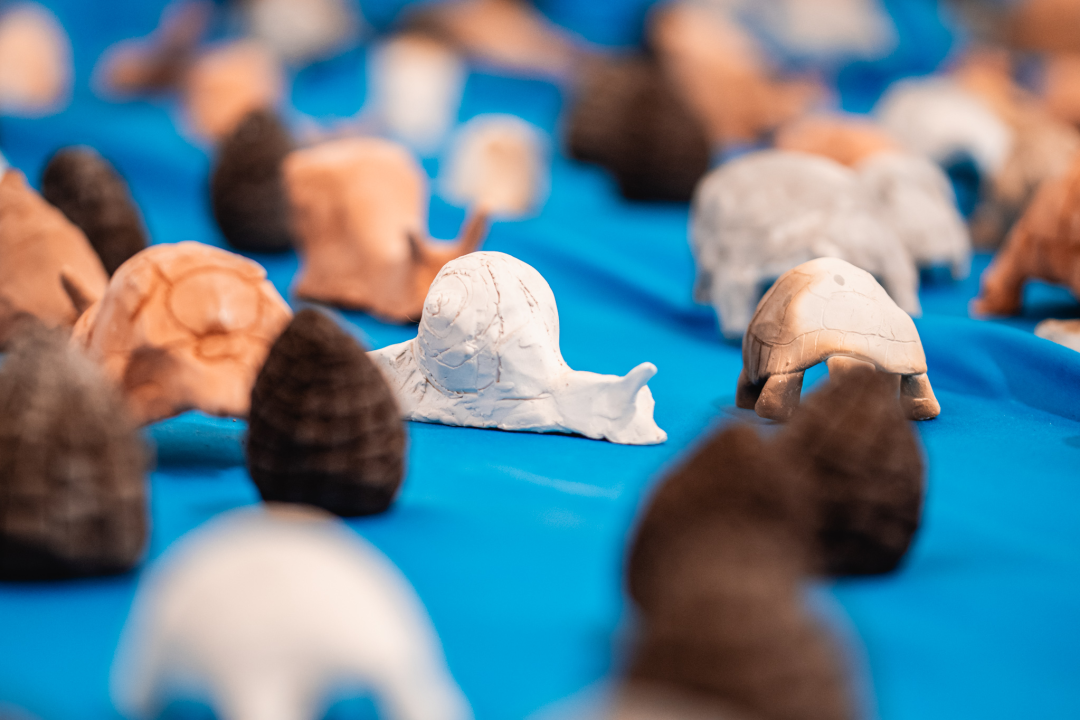 ‘Žabe’ okupirale sv. Krševan: Na zidu su psihodelične, na podu ih je stotine od terakote