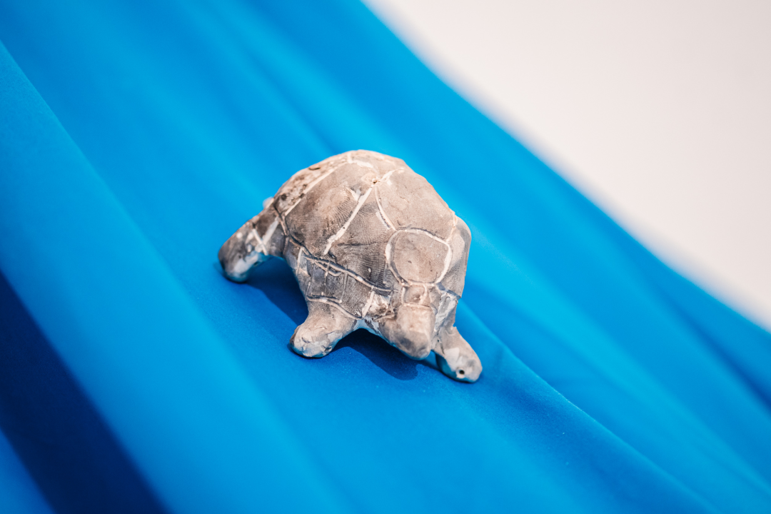 ‘Žabe’ okupirale sv. Krševan: Na zidu su psihodelične, na podu ih je stotine od terakote