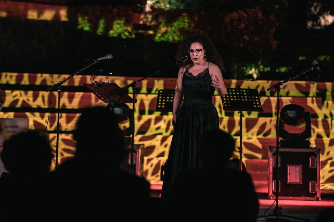 Na Baroneu se sinoć slušala opera pod zvijezdama, evo dijela atmosfere 