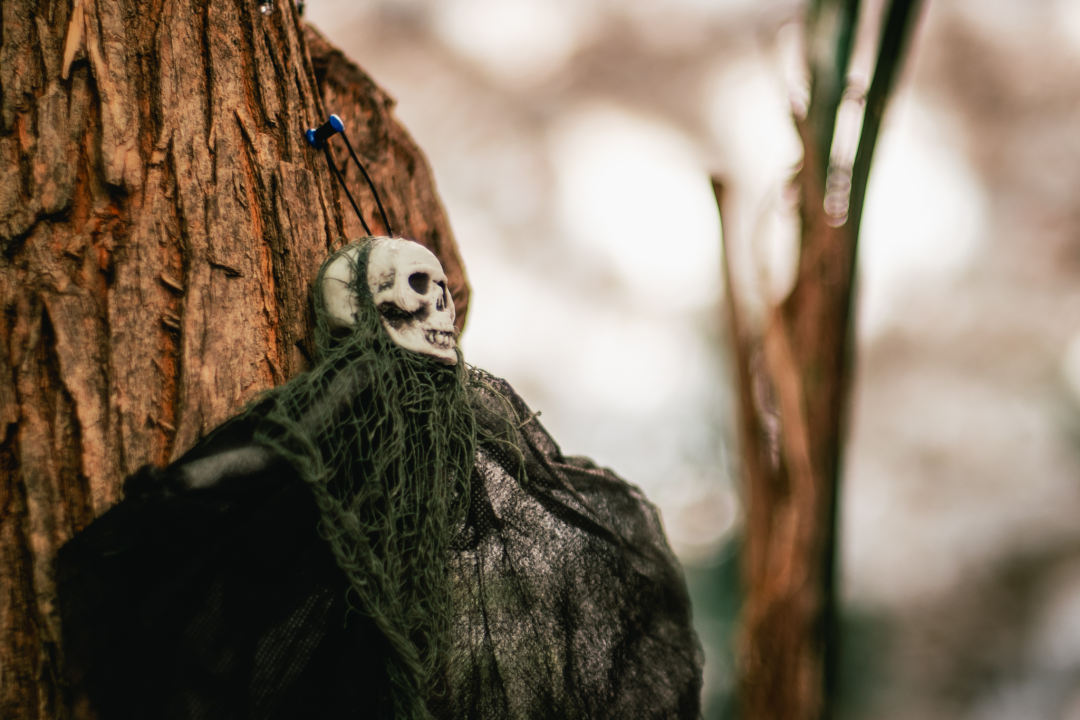 U Šibeniku Halloween i Holywin podjednako popularni: Jedno je cjelonoćna molitva, drugo maskirani ples