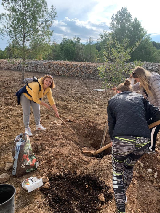 Šibenski volonteri s kolegama iz Europe zasadili mlada stabla u uvali Minerska u kanalu