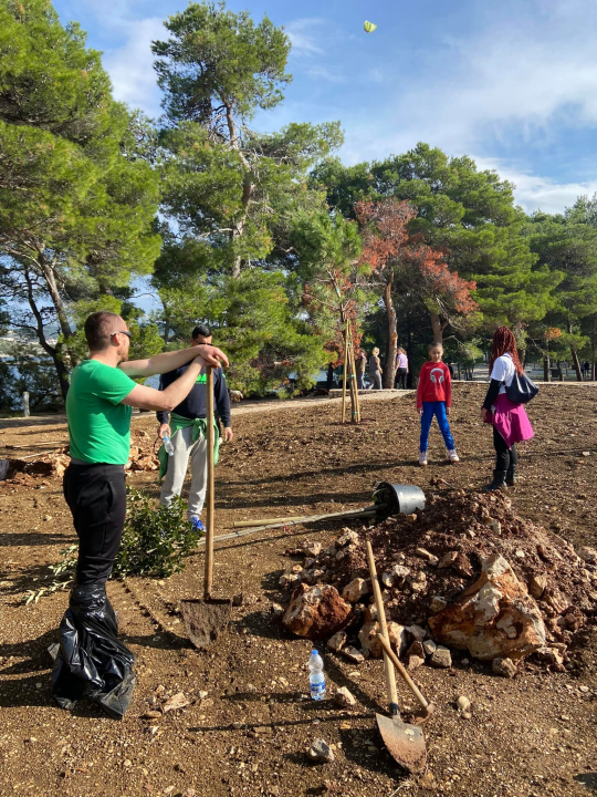 Šibenski volonteri s kolegama iz Europe zasadili mlada stabla u uvali Minerska u kanalu