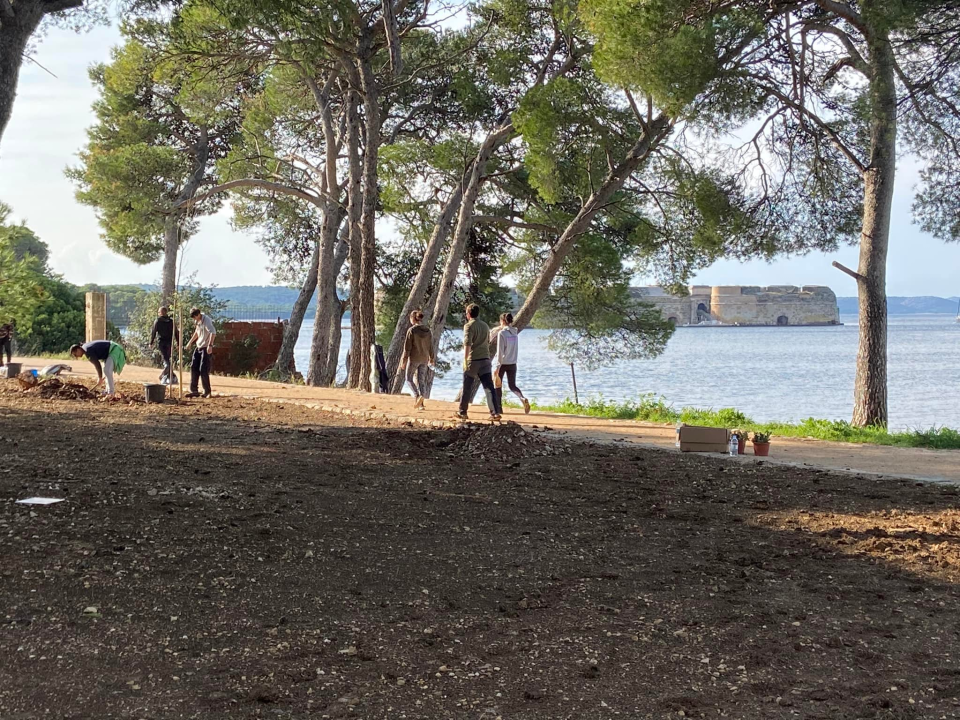 Šibenski volonteri s kolegama iz Europe zasadili mlada stabla u uvali Minerska u kanalu
