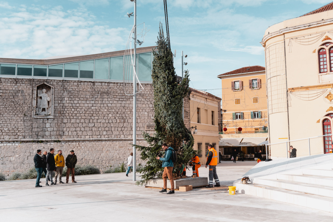 Okončan šibenski raketni program: Šibenik dobio pravi 7,5 metara visok božićni bor 