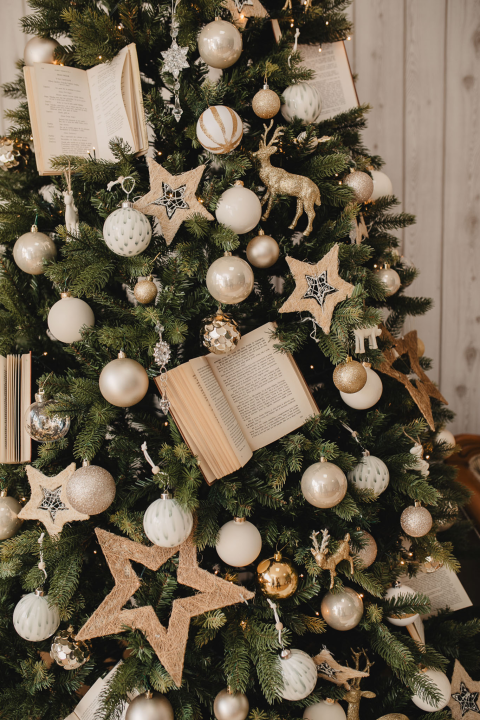 Pogledajte čaroliju Sanje Lydije i Floranite: 'Najljepši poklon za pod bor su obiteljske fotografije'