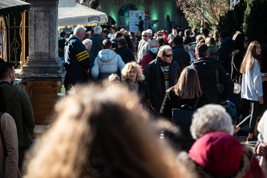 Vaterpolisti Solarisa i košarkašice Šibenika u ekipnoj, a Toni Slavica i Nives Radić u pojedinačnoj konkurenciji 