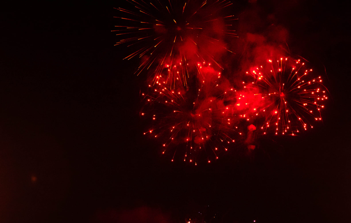 Đardin je i za doček Nove godine bio pun, a vatromet je dodatno začinio stvar