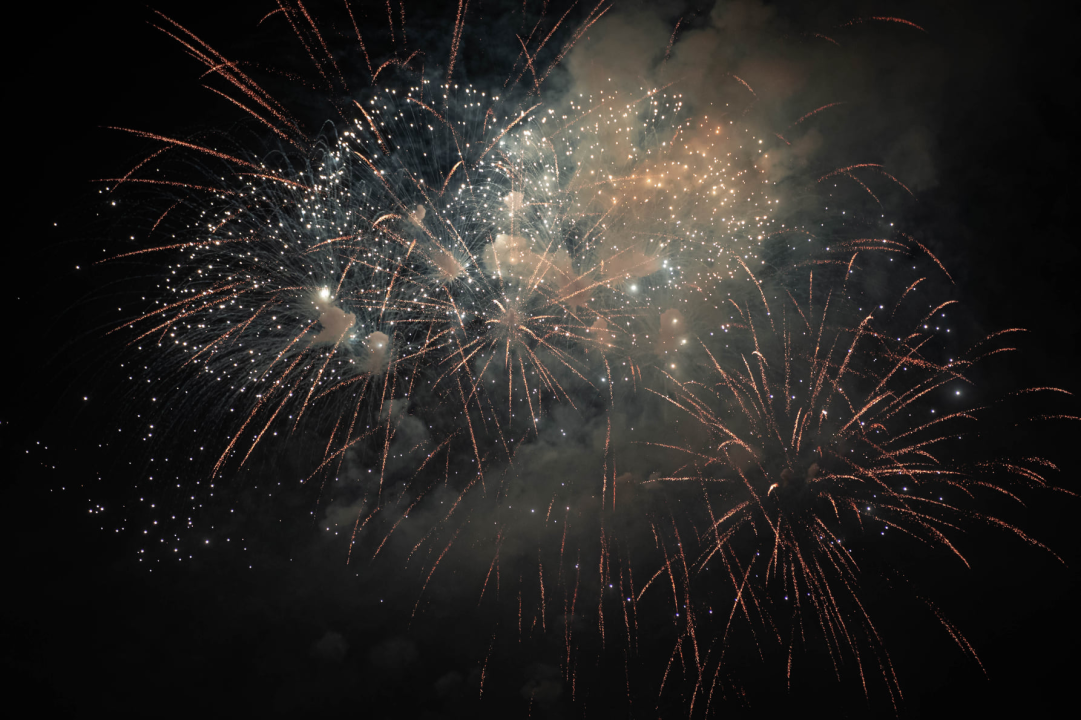 Đardin je i za doček Nove godine bio pun, a vatromet je dodatno začinio stvar