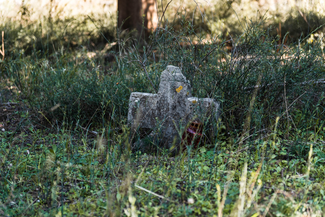 'To groblje je poput Pandorine kutije, bila je i njemačka krim policija': Na Raskrižju su posljednje počivalište našli i partizani i fašisti