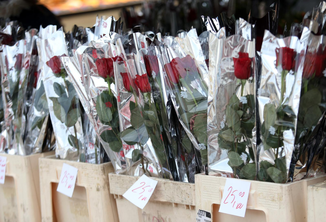 Od jutros gužve u cvjećarnama: Šibenčani vole klasiku, za Valentinovo najviše kupuju crvene ruže 