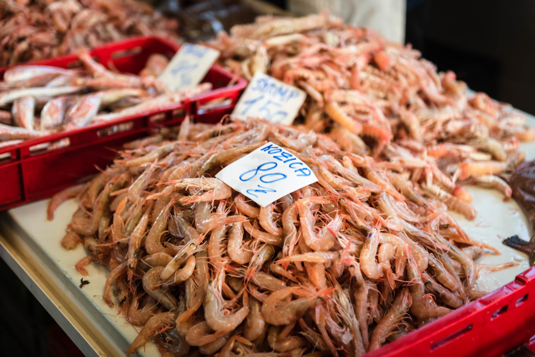 Fotogenična ponuda na šibenskoj peškariji: Grmalj, kokoti i nekoliko kolateralnih žrtava