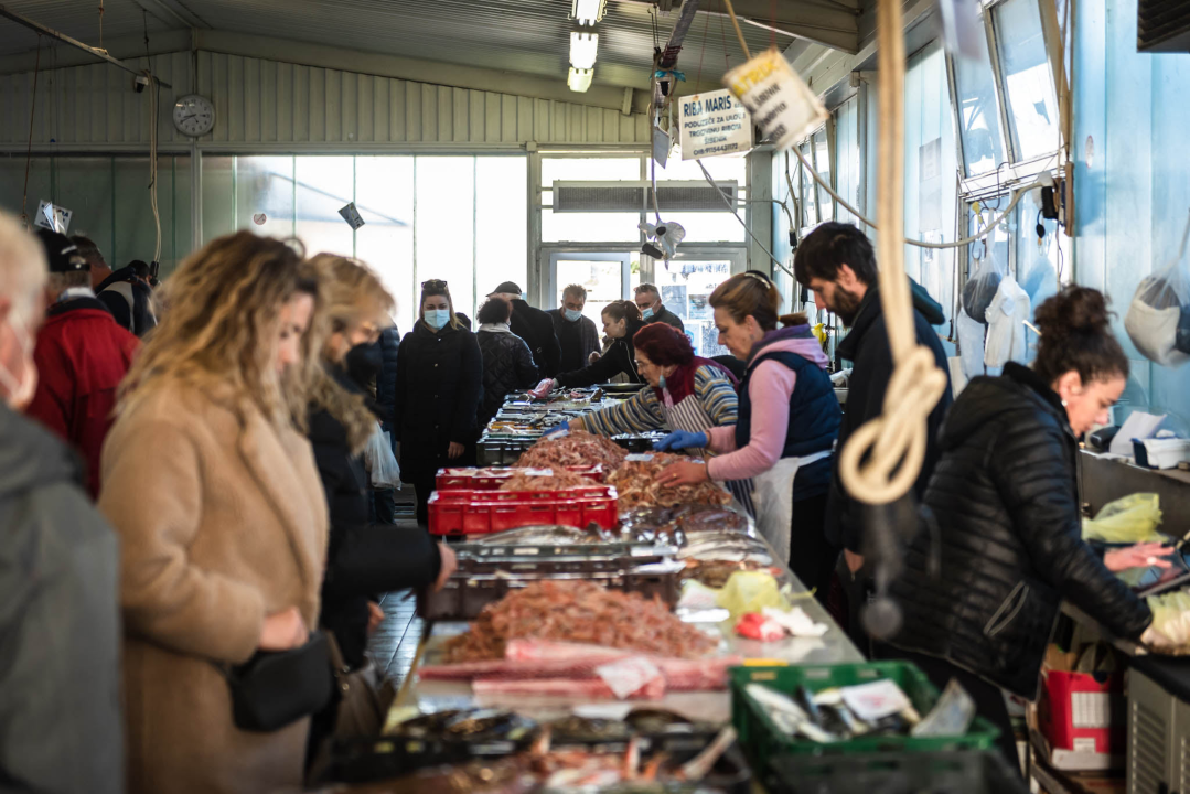 Fotogenična ponuda na šibenskoj peškariji: Grmalj, kokoti i nekoliko kolateralnih žrtava