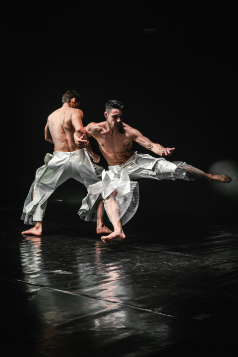 'Boys Boys Boys' sinoć u Arsenu: Šibenčanke uživale u ekspresivnom muškom plesu 