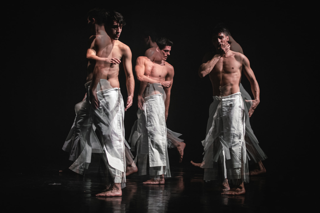 'Boys Boys Boys' sinoć u Arsenu: Šibenčanke uživale u ekspresivnom muškom plesu 