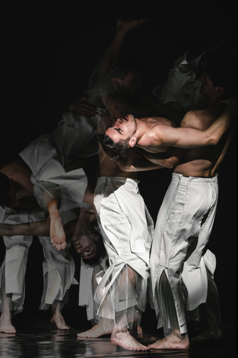 'Boys Boys Boys' sinoć u Arsenu: Šibenčanke uživale u ekspresivnom muškom plesu 