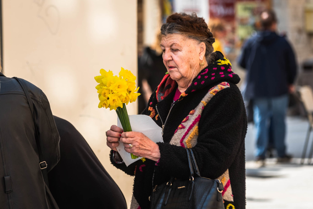 Dan narcisa obilježen i u Šibeniku: 'Pad smrtnosti za 25 posto rezultat je odaziva na preglede' 