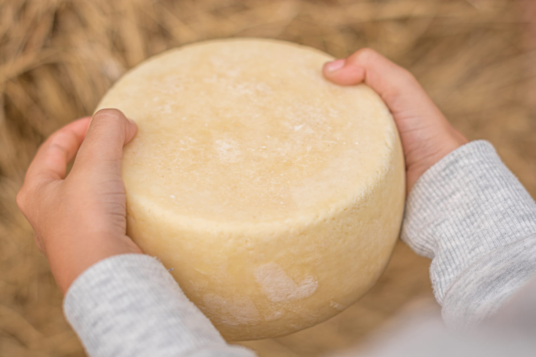Na Kninskoj tvrđavi Praznik rada slave dan ranije: Posjetitelje očekuju srdele, storytelling ture i vrijedne nagrade!