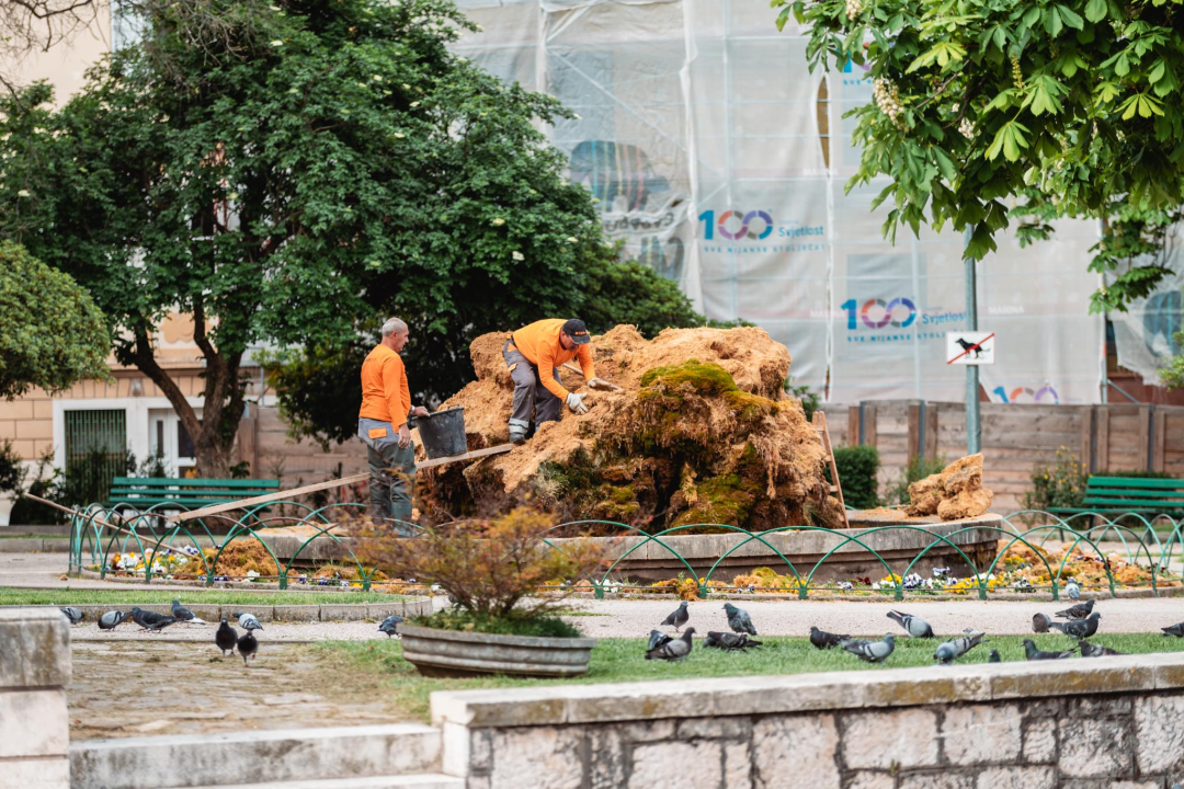 Uklonjen dio sedre kojemu je prijetilo urušavanje: Opet će zazeleniti, a kornjače dobivaju sunčalište