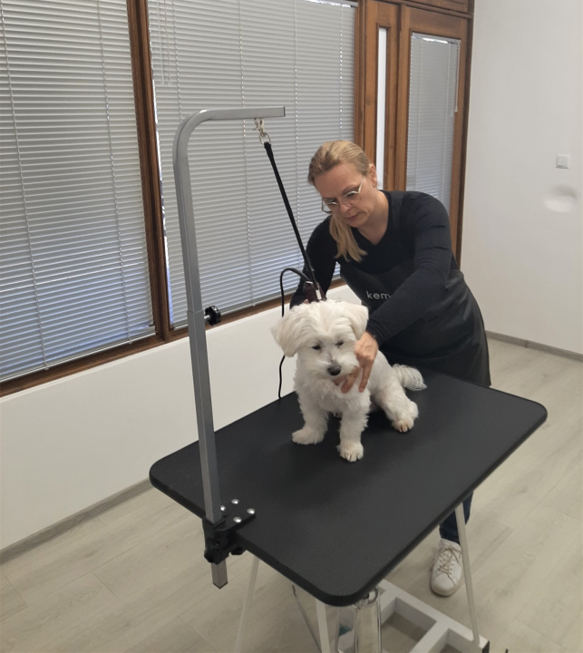 Salon za šišanje pasa Luki pružit će najbolju njegu vašim ljubimcima!