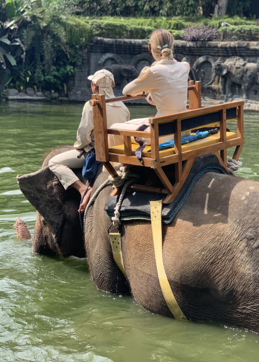 Šibenčanka Lucia Kulušić o iskustvu studija na jednom od najboljih sveučilišta na svijetu 